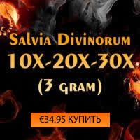 Buy Salvia extracts